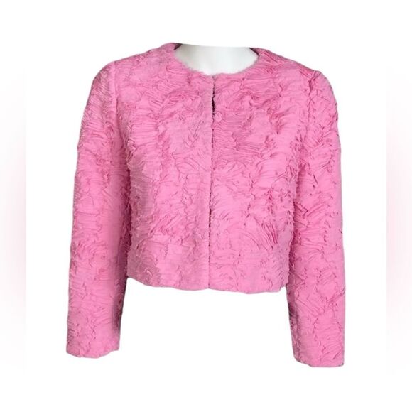 NWT Massimo Dutti Pink Textured Blazer Crop Jacket Sz Small RARE - Picture 3 of 11